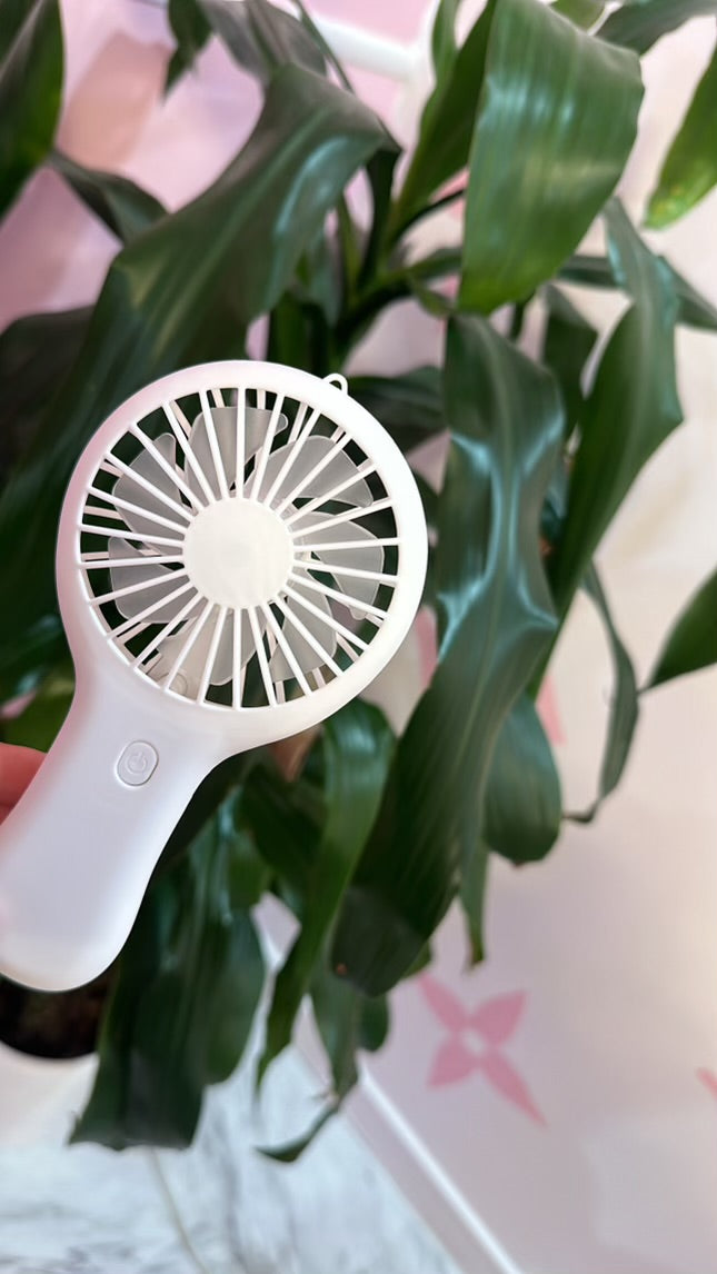 Fan