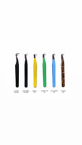 Summer volume collection