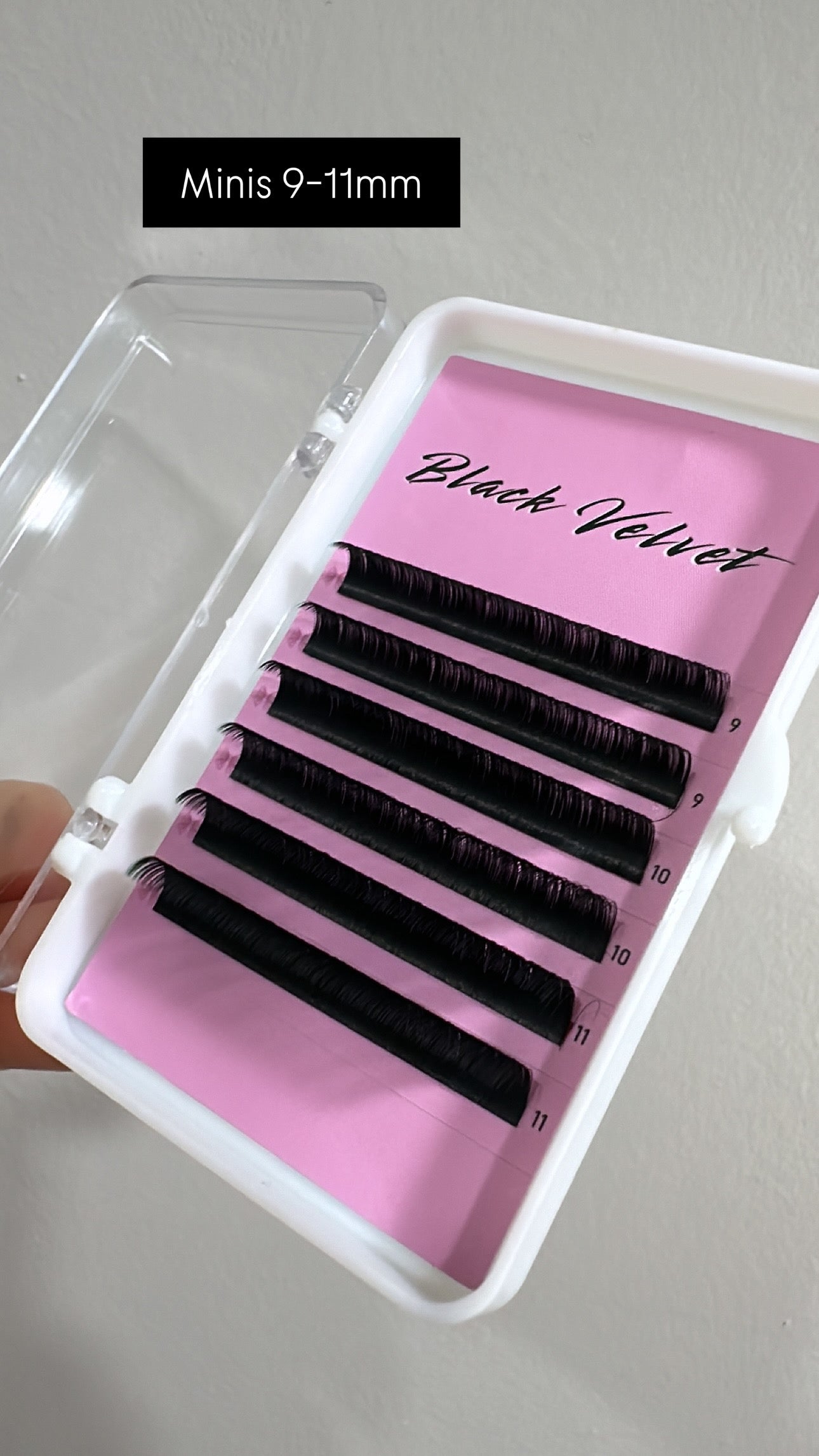 Velvet volume 🖤